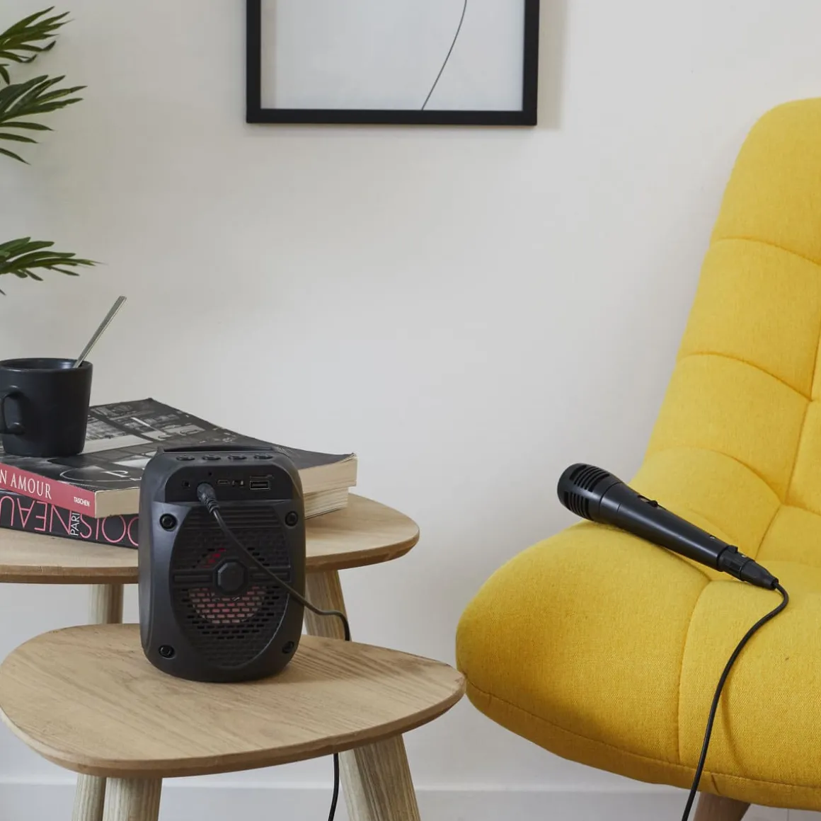 La Chaise Longue Son & Musique|Son & Musique-ENCEINTE BT MICRO KARAOKE